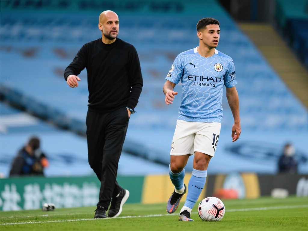 的主要因素 的主要因素