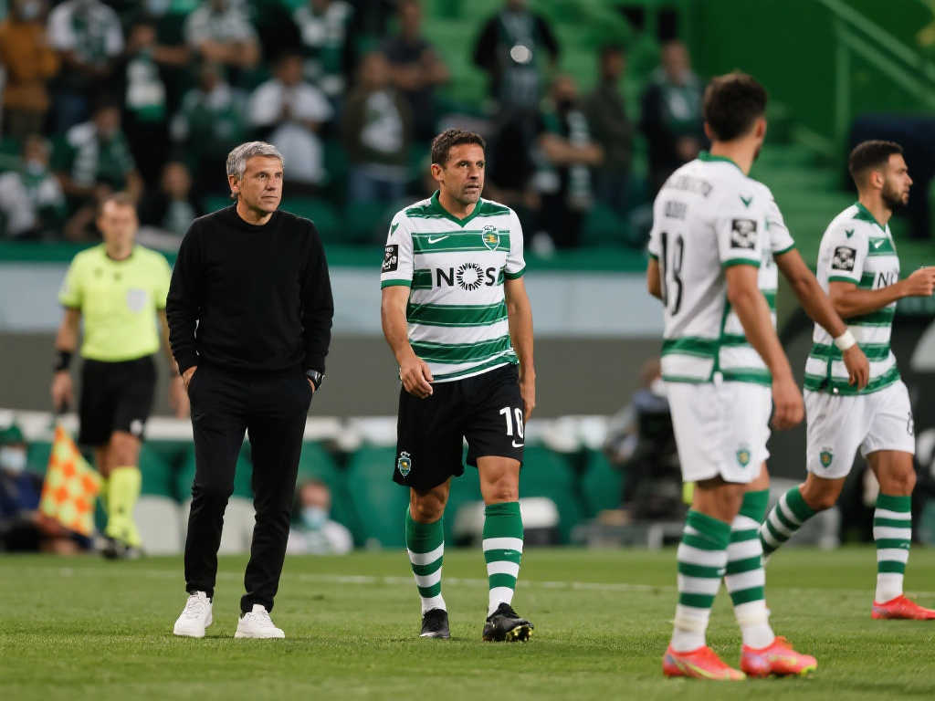 以及对赛事 以及对赛事